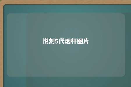 悦刻5代烟杆图片